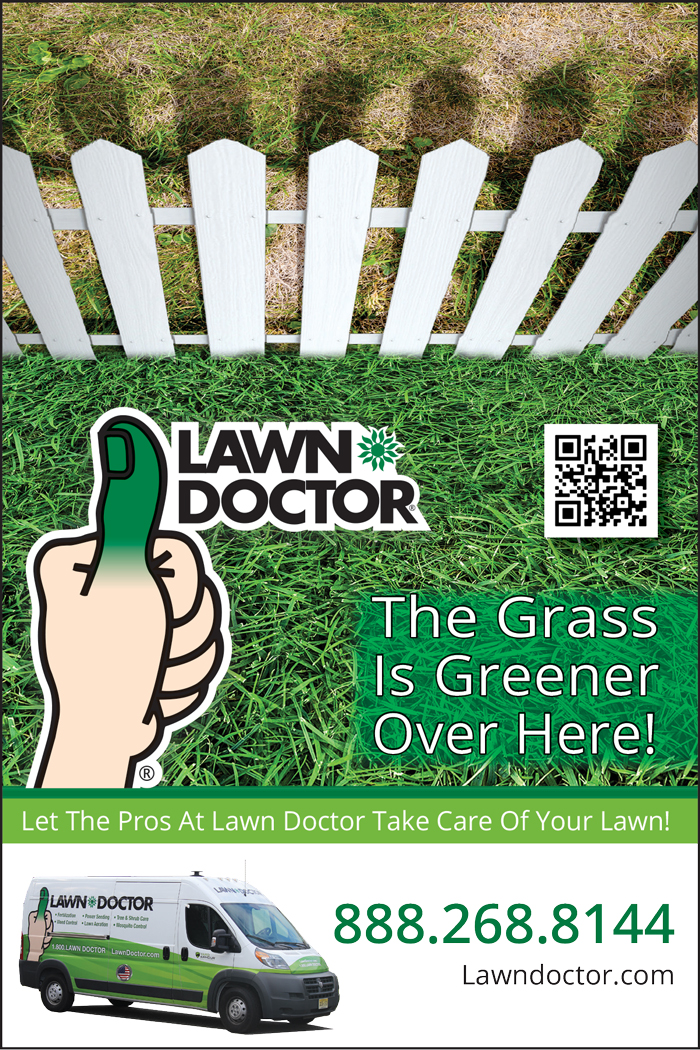 lawn care flyer